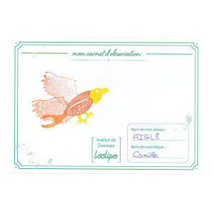 TAMPONS OISEAUX À CRÉER + 4 ENCREURS