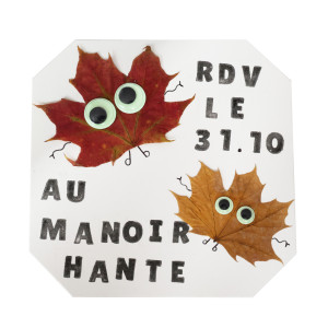 MAXI PACK CHENILLES, YEUX MOBILES & POMPONS - HALLOWEEN