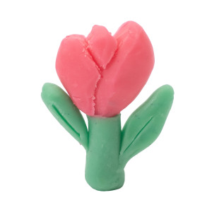 PÂTE À MODELER VÉGÉTALE NON SÉCHANTE - PATA CIRE - 10 COLORIS