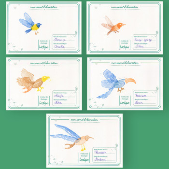 Mes oiseaux à créer