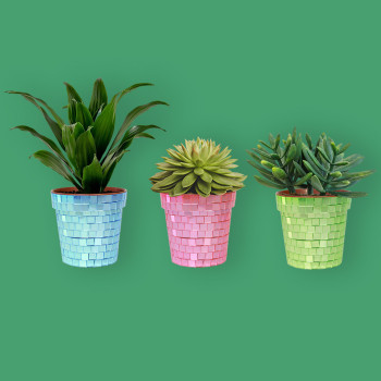 Mes pots de fleurs disco