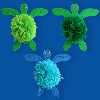 Mes tortues toutes douces